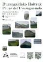 PEÑAS_2026